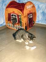 Mini-Mums Baby beim Spielen, 2007