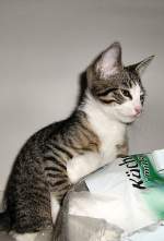 Interessant - das alles