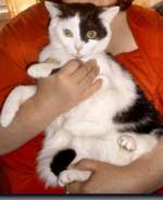 Das war die saubere Susi