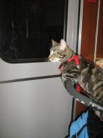 Linda in der U-Bahn Berlin, 2008