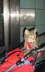 LINDA unterwegs in Berlin, 2008