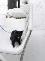 MiniMum unterwegs im Schnee, Erfurt 2005