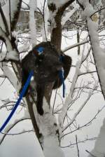 MiniMum im Schnee, 2005