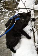 MiniMum in Aktion im Schnee, 2005