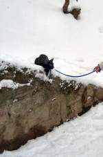 MiniMum im Park beim Winterspaziergang in Erfurt, 2005