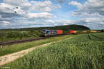 7383 425-6  modility  mit einem Containerzug in Richtung Ansbach bei Treuchtlingen. 28.05.24