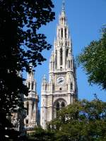 Rathaus von Wien 19-08-2008