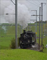 Das letzte Mal daheim in Schwarzenburg.

BSB Ed 3/4 51 auf ihrer Heimstrecke, bevor sie wegen ETCS ein Hausverbot bekommt. Hier im Feldmoos kurz vor der Einfahrt Schwarzenburg. Oktober 2025.