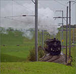 Das letzte Mal daheim in Schwarzenburg.

BSB Ed 3/4 51 auf ihrer Heimstrecke, bevor sie wegen ETCS ein Hausverbot bekommt. Hier im Feldmoos kurz vor der Einfahrt Schwarzenburg. Oktober 2025.